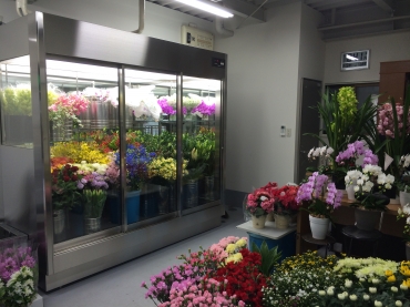 「花水園」　（愛知県名古屋市守山区）の花屋店舗写真2